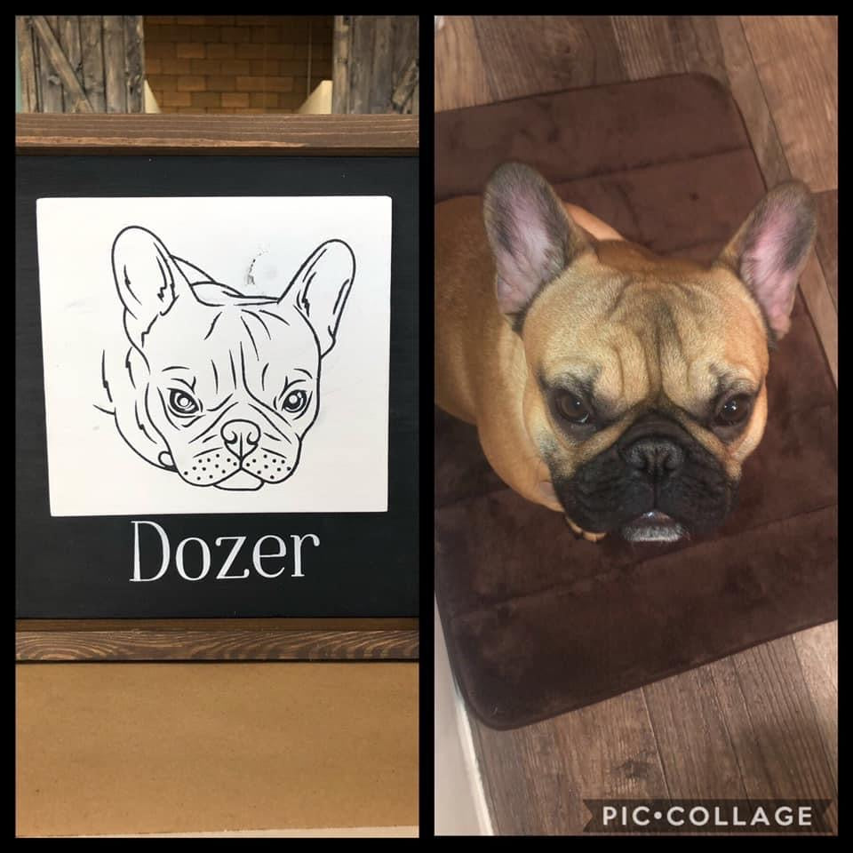 Paint Your Pet 🐾
