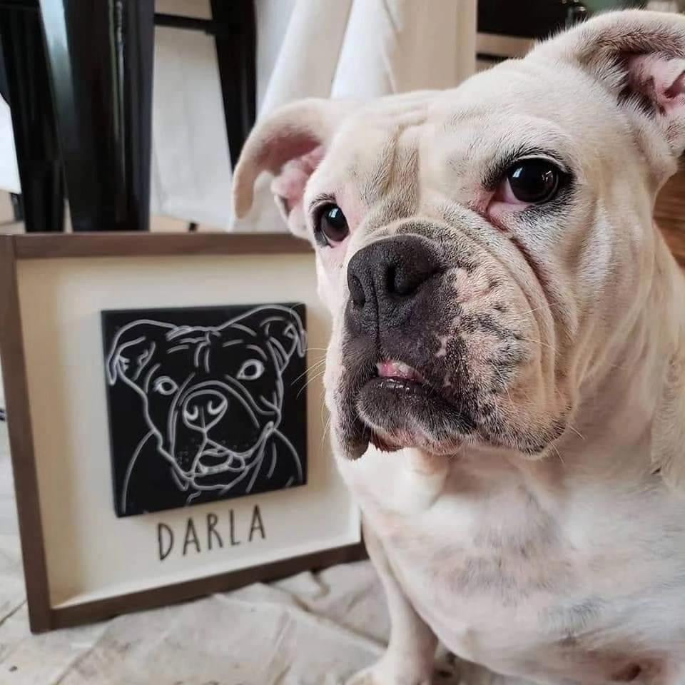 Paint Your Pet 🐾