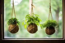 5.3.25 @10am The Art of Kokedama