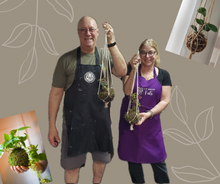 5.3.25 @10am The Art of Kokedama