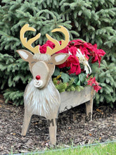 Reindeer Planter-Private Party