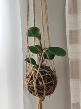 5.3.25 @10am The Art of Kokedama