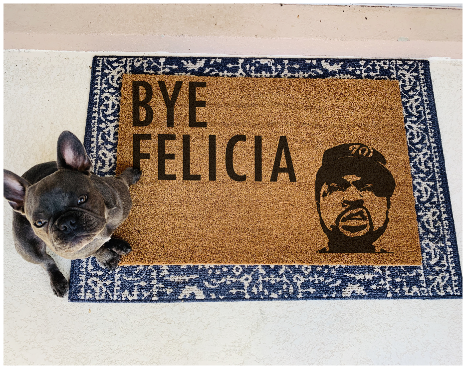 Everyday Doormat (30x18")